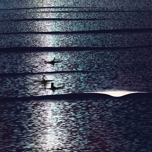 Item #57299755804924240962559020555725452164293839554292436572599704702645671297034 Media