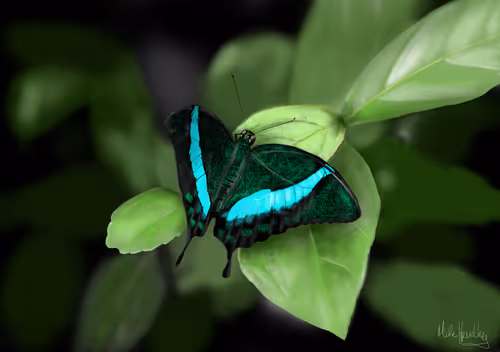 Item #39421720859211354598059957797071189726995094898407091321274451940773187289089 Media