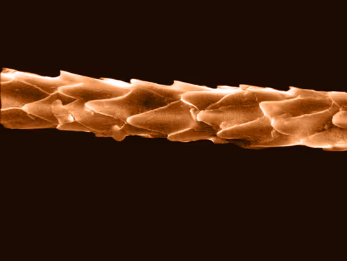 Item #115505927728344181025262329658899620468765138243295584093365708441880753078273 Media