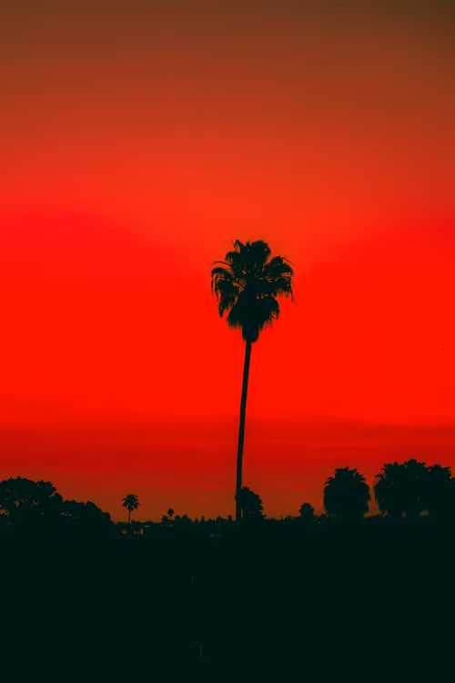 Item #35557780727049604459658880725917592814256363748111026780455796805782615359489 Media