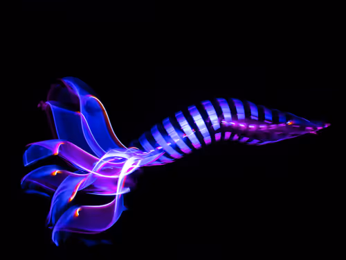 Item #114520185407821149204581307009181391760561859440781731159450127364918597386241 Media