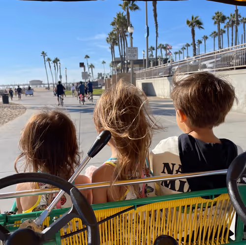 Item #62437439308456912945506612413278711304465204586047969314274856065598343872513 Media