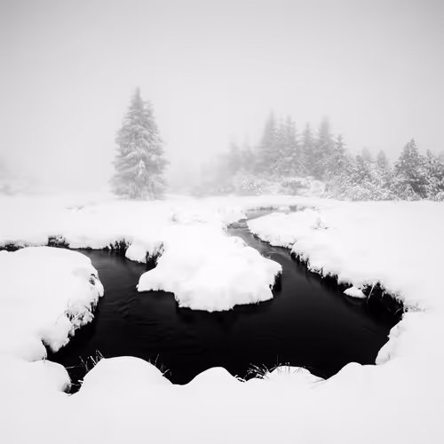 Item #101547054933813335062644925459541226737619958059144835271274916335536574562305 Media