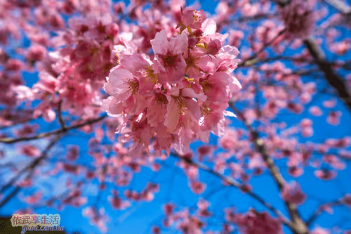 Item #100744422725674417057824683306763013505668843176654858816283483942827629477889 Media