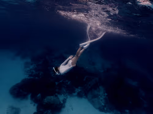 Item #32575491891525692508284411089073295742711796579375446376791742182141538074625 Media