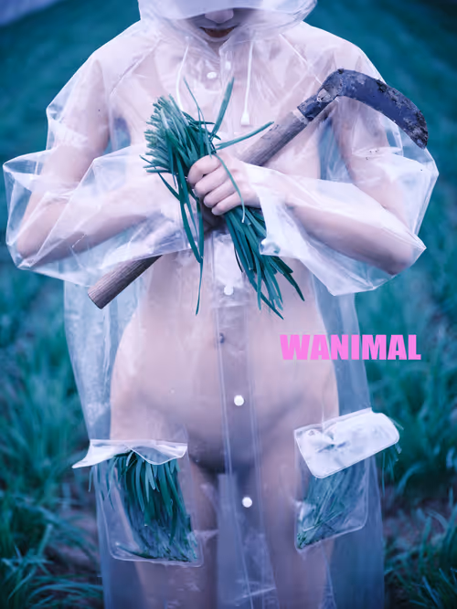 Item #4856346483299859622740228156707386111089389456230392766181717277197383761921 Media