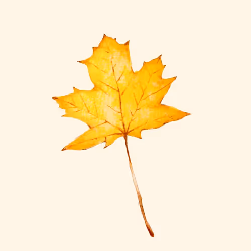 Item #55461839090018597727305698620265935112897814241899302210968333135279430828033 Media