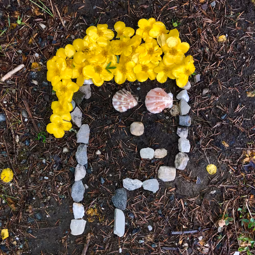 Item #98107617753721193587173935520703534334244090805083319737588344766695047430145 Media