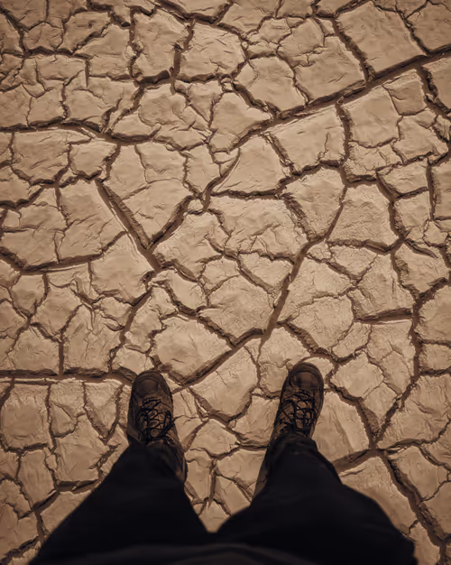 Item #4015407752300364533452678747912321307133041258187258919128982374477429997569 Media