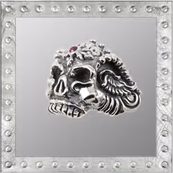 44746194182793400912343588997340986758940336322370103626433839488259919446017