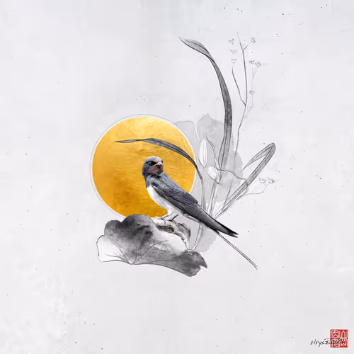 Item #93605795636469891791285979920851502115096995831581536409141751915753028714497 Media