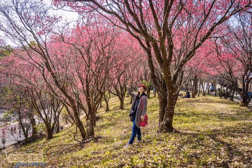 Item #100744422725674417057824683306763013505668843176654858816283483913140815527937 Media