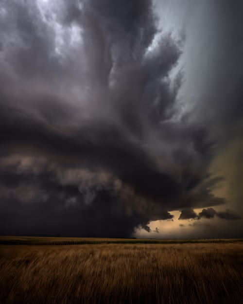 Item #36388733735061083786475834014155955711748965200924391160511104838431366184961 Media