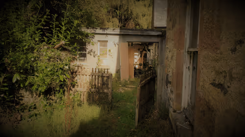 Item #13473500973687785898796463285955460631407349614781281766798596497011273367553 Media