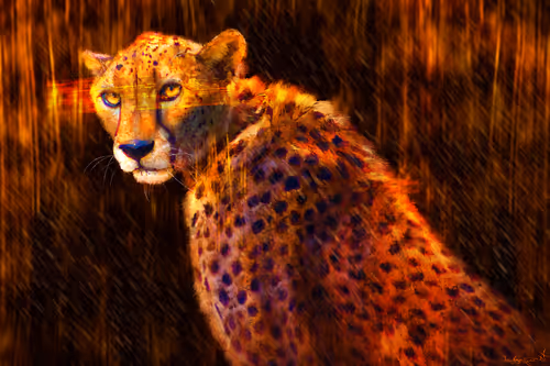 Item #48157336750142424601447934724257128450378387240161872582879860675951701524481 Media