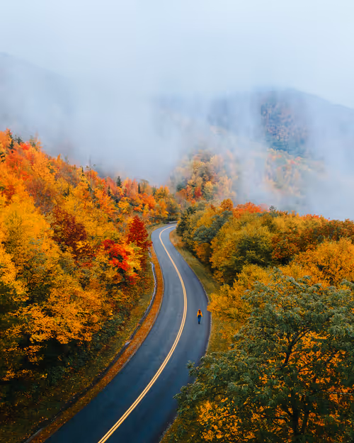 Item #11724833867030775132241085553592039053623098659522650139885247777882412941313 Media