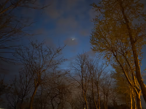 Item #26175833971612196894593480440009565093473205250050994983513500883410122440705 Media