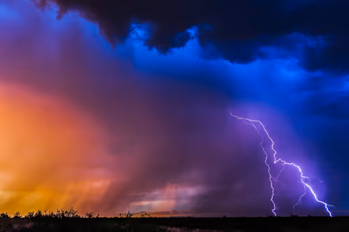 Item #95204431680649181601528738578851453896688564435428028381601595519529927049217 Media