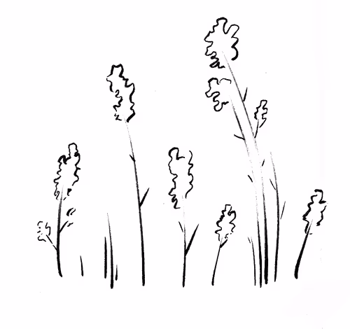 Item #25372994447545615556595153878681400140350305593099141563031706153914726350849 Media