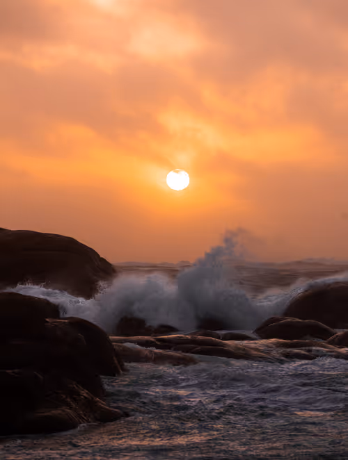 Item #72651886882207206539966383415555664124556444317113885039601297098546759073793 Media