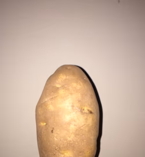 Item #56636079311525782062000787937814671283446820237773475516318963030253709033473 Media