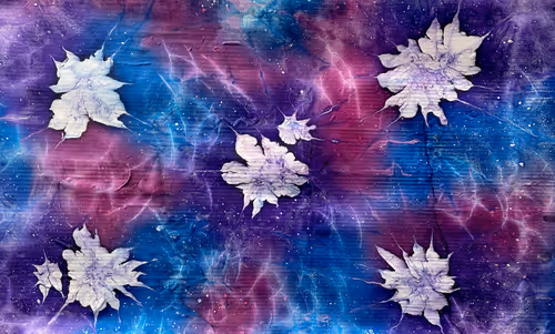 Item #23953230745994406582939997092897091351371610828269103110916008650273890238465 Media