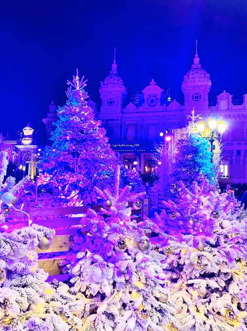 Item #64515795529198953580537894764101498903184970537215321722121714021365178171393 Media