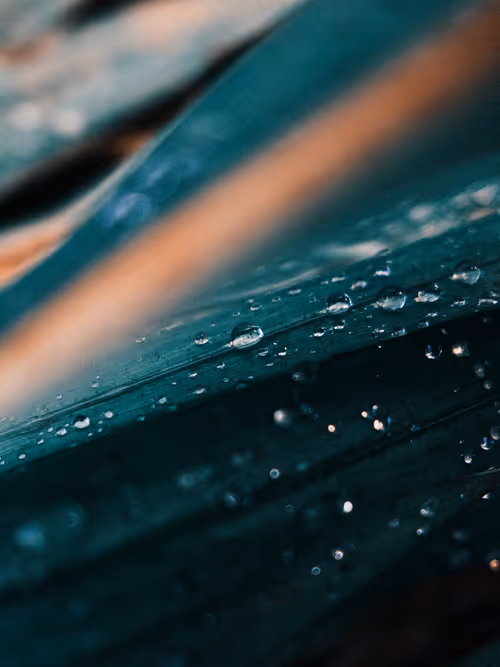 Item #103066555971611021134149055345018438449666255846358212838134356839989199765505 Media