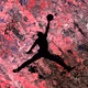 Sports Stars by PN