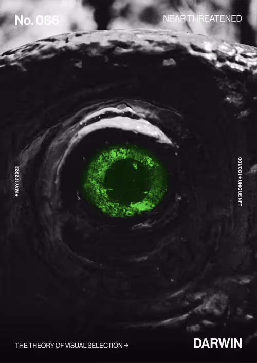 Item #5978613787773959064064561136939516829698711004901919756353002708063846662145 Media