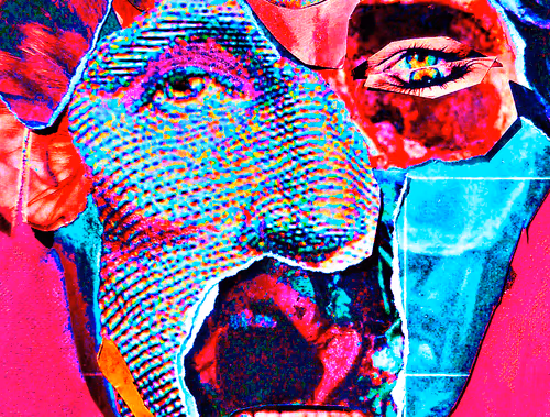 Item #48944328575101291531818828018767881274421194853123784451793656346300037201921 Media