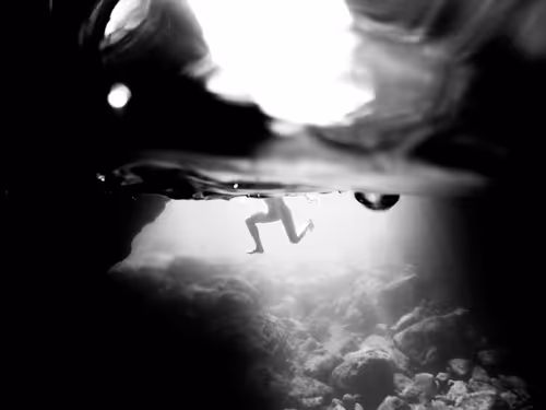 Item #48785457818066054559368395541392267450679449328533831279358886278757802311681 Media