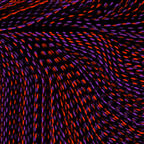 Item #102709992882251725262680810666054188141298276647024402964465272961210391724033 Media