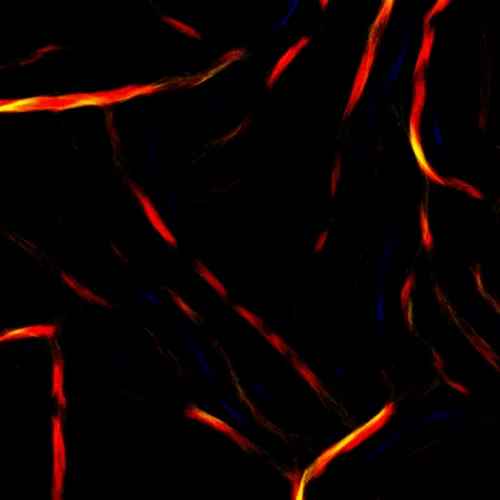 Item #51929734946411346289540790635765095060363125039145709683616697276104473313281 Media