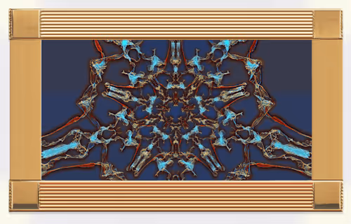 Item #53038436591932579343586172736499089180511311350926828846712651523532024446977 Media