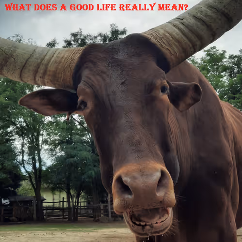 51313302132644519913343847646347811445510524411913136629935896412356519919617