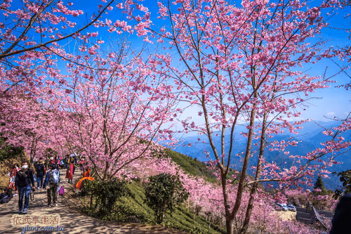 Item #100744422725674417057824683306763013505668843176654858816283483945026652733441 Media