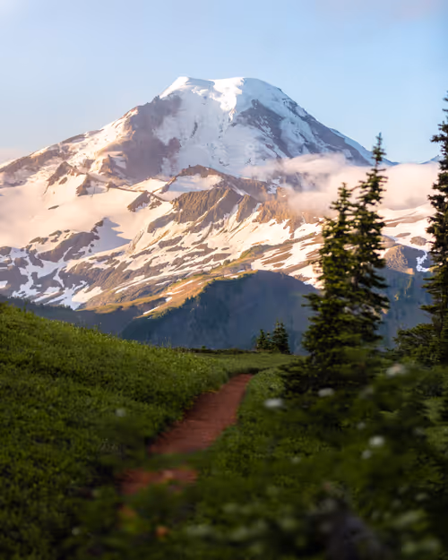 Item #11724833867030775132241085553592039053623098659522650139885247795474598985729 Media