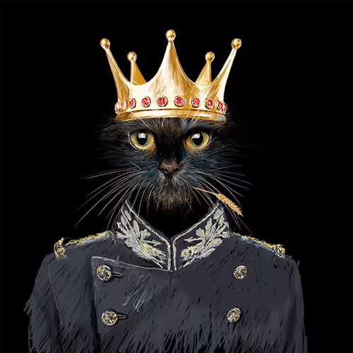 Item #53385941456676190110838339911728309048210199864448931637696850931777416462337 Media