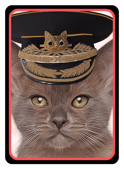 Item #64681592105974998997563651196983186043438714923393527507417484490406092603393 Media