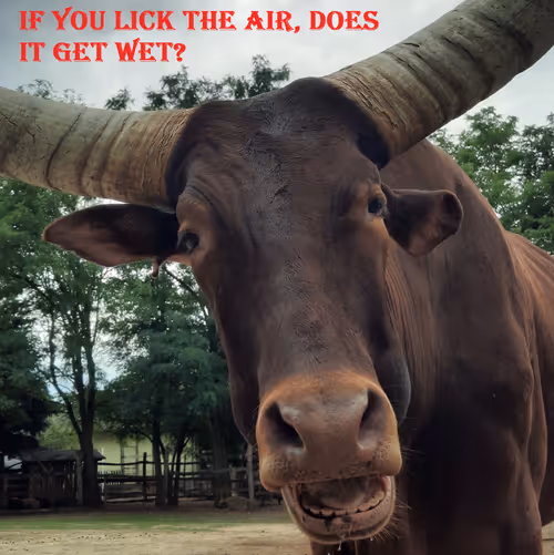 Item #51313302132644519913343847646347811445510524411913136629935896405759450152961 Media