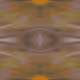 112694338187096677512520828741778326389672714337612276641250161971865281626113