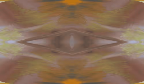 Item #112694338187096677512520828741778326389672714337612276641250161971865281626113 Media