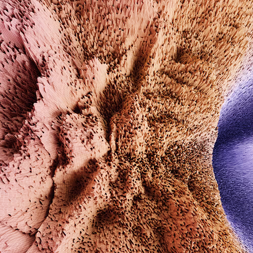 87855534987201374925371944818297600221317149567981150322417554455002884341761