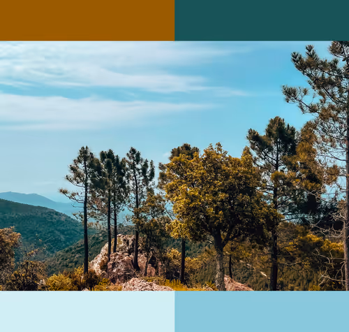 Item #106611442340327385323057920444605597724740448198544132416856324290908711288833 Media