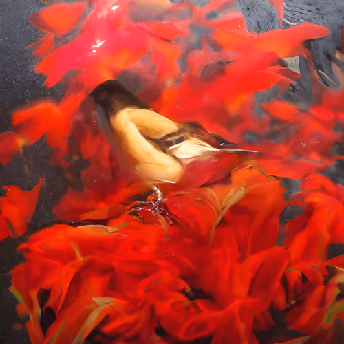 Item #13045274408698368694273523963703494583510855620855910108097693663458433695745 Media