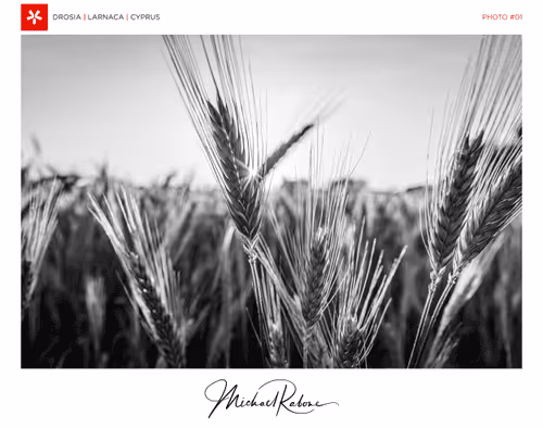 Item #29314157866463614573355053931398882925484977285626546525081320715355007483905 Media