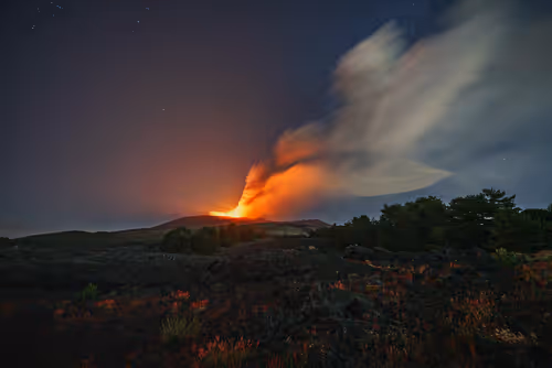 Item #29665505459776512063151611391641042533234332755845632920050768270758697238529 Media