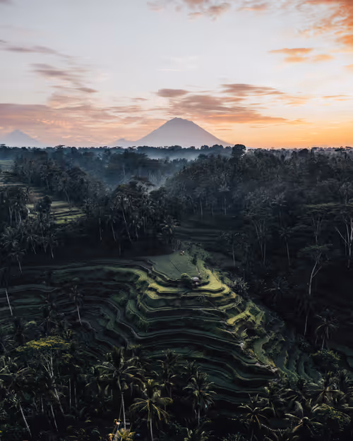 Item #86385672013831146465548650078662187187055141490040132723525304216047765684225 Media