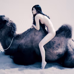 4856346483299859622740228156707386111089389456230392766181717378352453517315